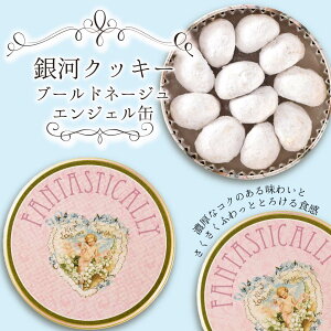 【国産素材使用】【添加物不使用】 【4缶以上送料無料】 銀河クッキー ブールドネージュ エンジェル缶 プチギフト クッキー缶 缶入り クッキー 缶 お菓子 かわいい 可愛い おしゃれ スイーツ プレゼント ギフト クリスマス 御歳暮 お歳暮