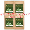 銀河コーヒー ドリップバッグ 極上の果実感「モカ・イルガチェフ(ウォッシュド精製)」(中煎り) エチオピア コチャレ農園 12g×12バッグ コーヒー豆 珈琲 珈琲豆 人気 おすすめ 楽天
