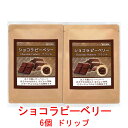 銀河コーヒー ドリップバッグ ビターチョコのような香味の希少豆「ショコラピーベリー」（中煎り）ブラジル サントアントニオ 12g×6バッグ コーヒー豆 珈琲 珈琲豆 人気 おすすめ 楽天