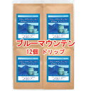 銀河コーヒー ドリップバッグ ブルマンの頂点「ブルーマウンテン セントピータースNo1」(中煎り) 12g×12バッグ コーヒー豆 珈琲 珈琲豆 人気 おすすめ 楽天