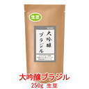 銀河コーヒー 生豆 大吟醸製法「大吟醸ブラジル」ブラジル サントス 250g コーヒー豆 珈琲 珈琲豆 人気 おすすめ 楽天