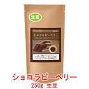 銀河コーヒー 生豆 希少豆「ショコラピーベリー」 ブラジル サントアントニオ 250g コーヒー豆 珈琲 珈琲豆 人気 おすすめ 楽天