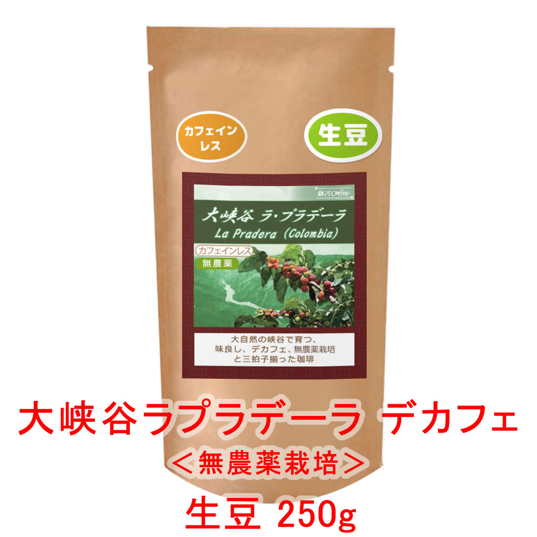 銀河コーヒー 生豆 「大峡谷ラプラデーラ」（中煎り） コロンビア 250g コーヒー豆 珈琲 珈琲豆 カフェインレス 人気 おすすめ 楽天
