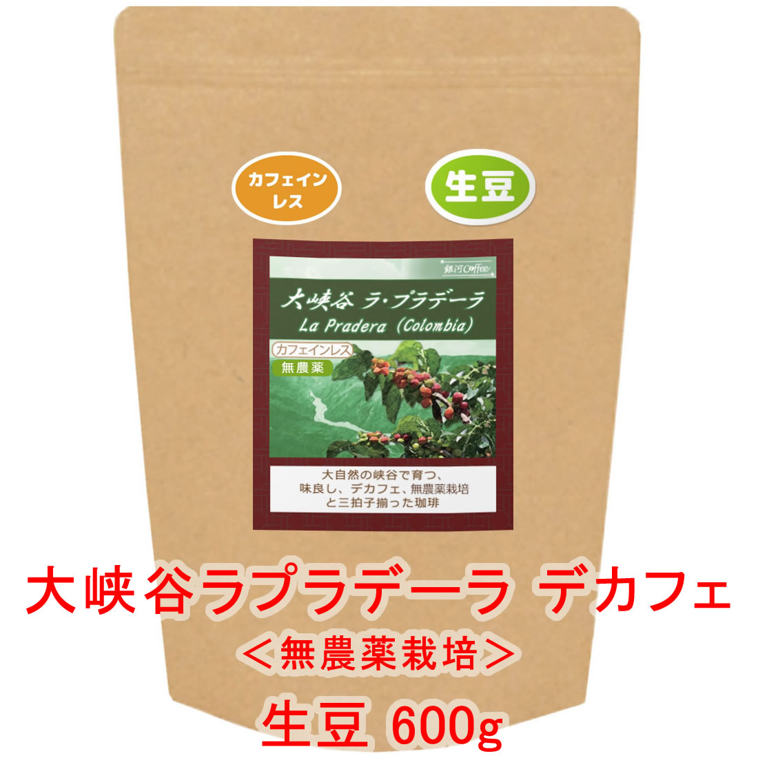 銀河コーヒー 生豆 「大峡谷ラプラデーラ」（中煎り） コロンビア 600g コーヒー豆 珈琲 珈琲豆 カフェインレス 人気 おすすめ 楽天