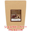 銀河コーヒー コーヒー豆 ビターチョコのような香味の希少豆「ショコラピーベリー」（中煎り）ブラジル サントアントニオ 350g コーヒー豆 珈琲 珈琲豆 人気 おすすめ 楽天