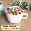 在庫処分のためプライスダウン!≪極小〜9mm程度が大容量約150g≫カラフル プラスチックボタン 福袋≪手芸 ミニボタン プチボタン 小さい かわいい プラボタン ぼたん 釦 セット ランダムミックス≫【メール便なら送料無料】
