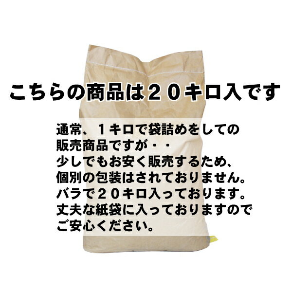 手芸用 ペレット20kg【送料無料】※丈夫な紙袋にそのまま入っております。1kg等で個別包装はされておりません。≪再生ペレット エコ リサイクル 大容量 業務用 お買得 ぬいぐるみ お手玉 ドール 枕 手芸 材料≫ドール 手芸 2