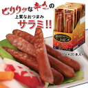 【2セット以上のご注文で送料無料】銀河のサラミ上級＜辛口＞（26g×20本入り） ／ 辛口 旨辛ピリ辛 サラミ サラミソーセージ ドライ ドライソーセージ おつまみ