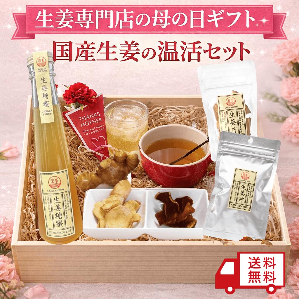 樂天商城 - 母の日 ギフト 国産生姜の温活セット ジンジャーシロップ（ビートグラニュー糖） 生姜フライドチップス 生姜チップス カーネーション付 送料無料 花以外