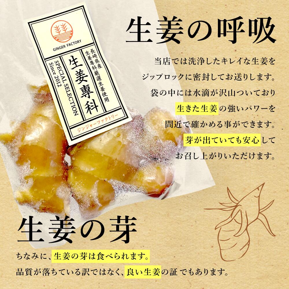 生姜PR2
