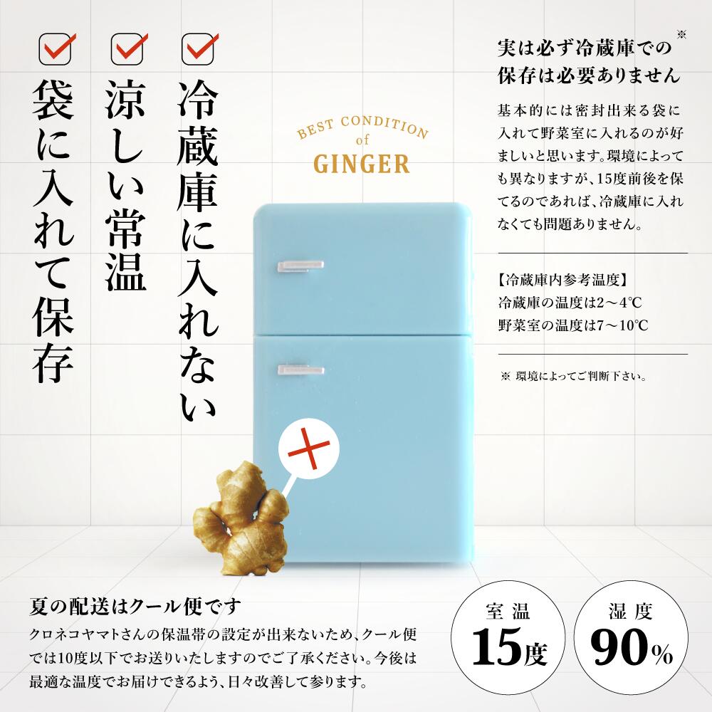 生姜PR3
