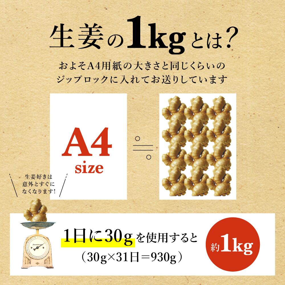 生姜PR4