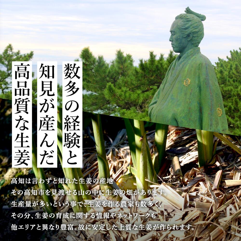 無農薬 生姜 1kg 高知県産 国産 送料無料 しょうが ショウガ 根生姜 農薬不使用 業務用 長期保存 冷え性 温活 ジンジャー 佃煮 薬味 きざみ 生姜焼き 唐揚げ 3