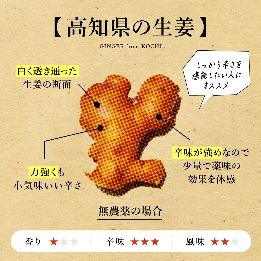 高知3