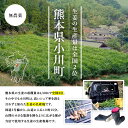 無農薬 生姜 100g 熊本県産 国産 送料無料 しょうが ショウガ 根生姜 農薬不使用 業務用 長期保存 冷え性 温活 ジンジャー 佃煮 薬味 きざみ 生姜焼き 唐揚げ 2