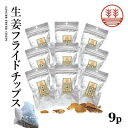 生姜フライドチップス 9袋 + 生姜紅茶 1包 生姜 国産 熊本 高知 長崎 無着色 しょうが ショウガ チップス 生姜糖 健康おやつ ヘルシー おつまみ 温活...