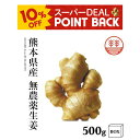 【10%ポイントバック】無農薬 生姜 500g +化粧箱 熊本県産 国産 送料無料 しょうが ショウガ 根生姜 農薬不使用 業務用 長期保存 冷え性 温活 ジンジャー 佃煮 薬味 きざみ 生姜焼き 唐揚げ ギフト 贈答 プレゼント 母の日 父の日 敬老の日 お中元 お歳暮 お年賀 出産内祝い
