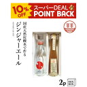 【10%ポイントバック】ジンジャーエール 国産天然炭酸水で作ろうセット ビートグラニュー糖【2本箱】国産 熊本 高知 長崎 無着色 生姜シロップ しょうがシロップ 温活 冷え ポカポカ 贈答 プレゼント ギフト 父の日 お歳暮 お年賀 内祝い 出産内祝い 送料無料 結婚祝い