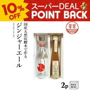 【10%ポイントバック】ジンジャーエール 国産天然炭酸水で作ろうセット ビートグラニュー糖【2本箱】国産 熊本 高知 長崎 無着色 生姜シロップ しょうがシロップ 温活 冷え ポカポカ 贈答 プレゼント ギフト 父の日 お歳暮 お年賀 内祝い 出産内祝い 送料無料 結婚祝い
