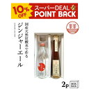 ジンジャーエール 国産天然炭酸水で作ろうセット 甜菜糖【2本箱】 国産 熊本 高知 長崎 無着色 生姜シロップ しょうがシロップ 温活 冷え ポカポカ 生姜 贈答 母の日 父の日 お歳暮 お年賀 ギフト プレゼント 内祝い 出産内祝い 送料無料 結婚祝い