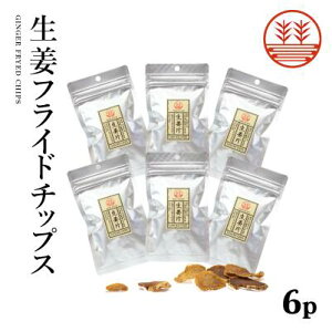 【スーパーSALE 10%OFF】生姜フライドチップス 6袋 生姜 国産 熊本 高知 長崎 無添加 無着色 しょうが ショウガ チップス 健康おやつ ヘルシー おつまみ 温活 冷え対策 ギフト 贈答 母の日 敬老の日 お中元 お歳暮 結婚祝い