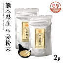 生姜粉末 50g×2袋 メール便 送料無料 無農薬 生姜パウダー 国産 しょうが ショウガ パウダー 粉 粉末 ジンジャーパウダー しょうがパウダー 農薬不使用 乾燥生姜 乾燥ショウガ 乾燥しょうが 無添加 生姜紅茶 ジンジャーティー ポカポカ 冷え性 温活