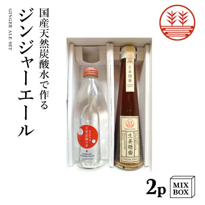 ジンジャーエール 国産天然炭酸水で作ろうセット 甜菜糖【2本箱】 国産 熊本 高知 長崎 無添加 無着色 生姜シロップ しょうがシロップ 温活 冷え ポカポカ 生姜 贈答 母の日 父の日 お中元 敬老の日 ギフト プレゼント 内祝い 出産内祝い プチギフト 送料無料 結婚祝い