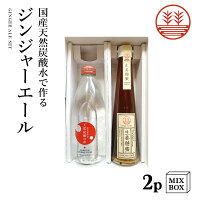 ジンジャーエール 国産天然炭酸水で作ろうセット 甜菜糖【2本箱】 国産 熊本 高知 長崎 無添加 無着色 生姜シロップ しょうがシロップ 温活 冷え ポカポカ 免疫 生姜 贈答 母の日 父の日 ギフト プレゼント 敬老の日 お中元 お歳暮 結婚祝い 内祝