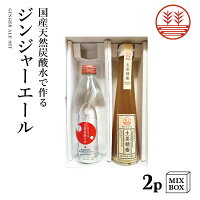 ジンジャーエール 国産天然炭酸水で作ろうセット ビートグラニュー糖【2本箱】 国産 熊本 高知 長崎 無添加 無着色 生姜シロップ しょうがシロップ 温活 冷え ポカポカ 更年期 免疫力アップ 生姜 贈答 母の日 父の日 ギフト プレゼント結婚祝い 内祝