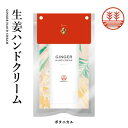 ジンジャーハンドクリーム 60g《ボタニカル》メール便 送料無料 生姜 ハンドクリーム しょうが ショウガ ギフト プレゼント プチギフト お返し ギフト バレンタイン ホワイトデー 母の日 父の日 敬老の日