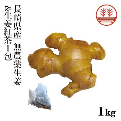 無農薬 生姜 1kg 長崎県産 + 生姜紅茶 1包 国産 送料無料 しょうが ショウガ 根生姜 農薬不使用 業務用 長期保存 冷え性 温活 ジンジャー 佃煮 薬味 きざみ 生姜焼き 唐揚げ 生姜紅茶