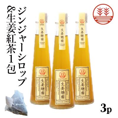 ジンジャーシロップ ビートグラニュー糖 200ml 3本 + 生姜紅茶 1包 国産 無添加 無着色 熊本 高知 長崎 ジンジャーエール 生姜シロップ しょうがシロップ ジンジャーハイボール 生姜湯 生姜紅…