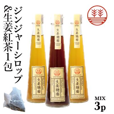 ジンジャーシロップ ビートグラニュー糖 200ml 2本 甜菜糖 200ml 1本 + 生姜紅茶 1包 国産 無添加 無着色 熊本 高知 長崎 ジンジャーエール 生姜シロップ しょうがシロップ ジンジャーハイボー…