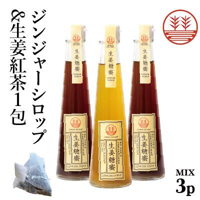 ジンジャーシロップ ビートグラニュー糖 200ml × 1本 甜菜糖 200ml × 2本 + 生姜紅茶 1包 国産 無添加 無着色 熊本 …