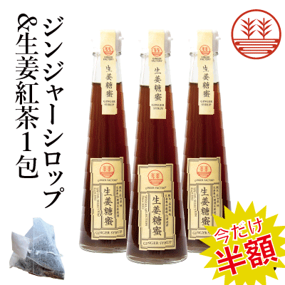 【スーパーSALE 50%OFF】ジンジャーシロップ 甜菜糖 200ml × 3本 + 生姜紅茶 1包 国産 無添加 無着色 熊本 高知 長崎 ジンジャーエール 生姜シロップ しょうがシロップ ジンジャーハイボール 生姜湯 生姜紅茶 ジンジャーティー 免疫力 温活 冷え対策 ポカポカのサムネイル