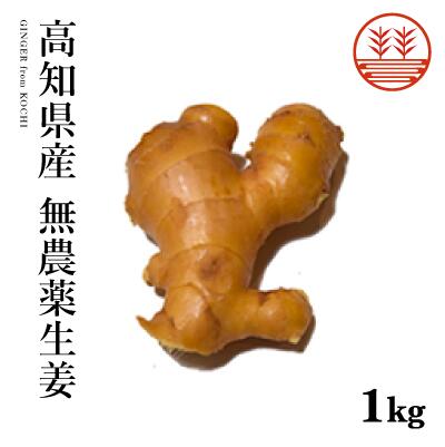 無農薬 生姜 1kg 高知県産 国産 送料