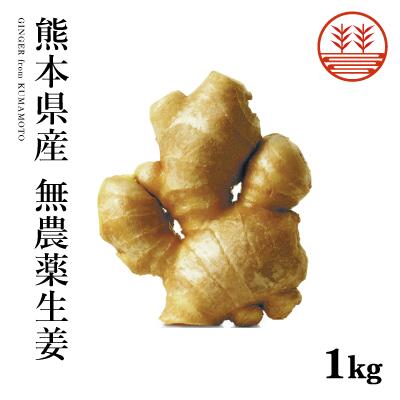 無農薬 生姜 1kg 熊本県産 国産 送料