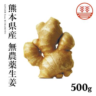 無農薬 生姜 500g 熊本県産 国産 送料