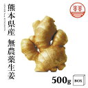 無農薬 生姜 500g +箱 熊本県産 国産 送料無料 しょうが ショウガ 根生姜 農薬不使用 業務用 長期保存 冷え性 温活 ジンジャー 佃煮 薬味 きざみ ...