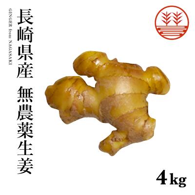 長崎県産無農薬生姜の特徴 正直、長崎県産の生姜の質には驚きました。 新生姜の状態で畑のど真ん中でかじりついたのですが、風味辛味共にとてもいい感じです。 とてもお勧めできる生姜だと思います。 名称：生姜（しょうが） 産地：長崎県産 お客様の多くに1kg単位でご購入頂いております。 「スーパーの生姜と比べて美味しかった」とコメントをくださるお客様も多いのです。 【大きさ】 1kgを一梱包として、ジップロックに入れて配送いたします。 1kgはA4用紙一枚程度の大きさです。 2kgの場合は2袋、3kgは3袋でお送りさせて頂きます。 （4kg以上は一袋にまとめてお送りさせて頂きます。） スーパーなどで販売されている生姜は大体100g程度ですので比較してご検討下さい。 【量】 生姜1kgは一見多いように見えますが、1日35gの使用で1ヶ月程で消費します。 リピーター様は1kgの生姜を購入される方が多く、1ヶ月ごとにご注文いただいております。 生姜を使った料理のレシピや生姜に関する様々なことを ジンジャーファクトリーのブログで掲載しておりますので 「ジンジャーファクトリー　生姜レシピ」で検索ください。 【保存方法】 通常生姜の保存温度の理想は15℃とされておりまして （赤ワイン用のワインセラーが15℃くらいです） 季節によっては冷蔵庫に入れない方が良いのですが ご自宅で保存するにはなかなか難しい温度だと思います。 そのため、弊社では梅雨から夏にかけての暑い時期には 野菜室に保存する方法をオススメしております。 冷蔵庫の温度は2〜4℃ 野菜室の温度は7〜10℃ 地域やご自宅の環境によっても 室内の温度はバラバラですので、一概には何ともいえないのですが、 野菜室の保存が一番理想的ではないかと思います。 良くあるご質問に関してはこちらをご覧下さい。