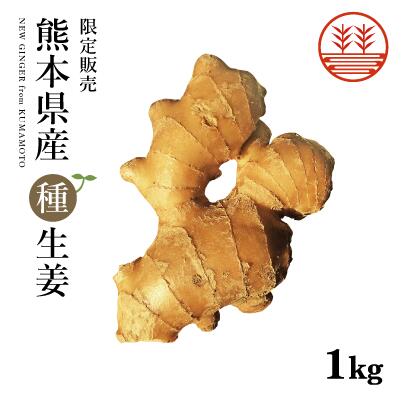 種生姜 熊本県産 無農薬生姜 1kg 送料無料 国産 生姜 しょうが ショウガ 生姜栽培 しょうが栽培 家庭菜園 種子 種用 たねしょうが 種しょうが 種生姜 たね生姜 生姜種 生姜の種 栽培 種芋 根生…