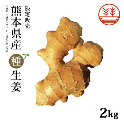 種生姜 熊本県産 無農薬生姜 2kg 送料無料 国産 生姜 しょうが ショウガ 生姜栽培 しょうが栽培 家庭菜園 種子 種用 たねしょうが 種しょうが 種生姜 たね生姜 生姜種 生姜の種 栽培 種芋 根生…