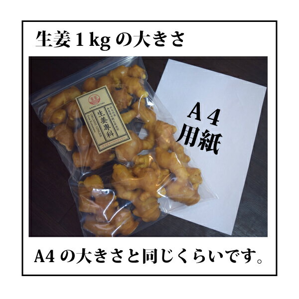 生姜の大きさ