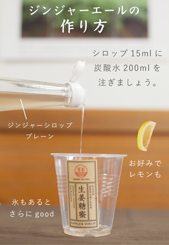 ジンジャーエール作り方