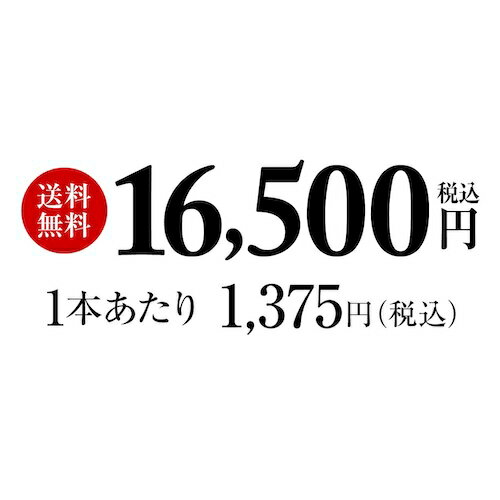 ������P3�� 2/10 23:59���ۡ�����̵���� ����ä��������ռ��̤� ��˫������1�����ꡪ �����å� ������� 12�� ���å� �����å����������� ���������� ���󥰥���� �֥��ǥå� �Ȱ��� ĹS