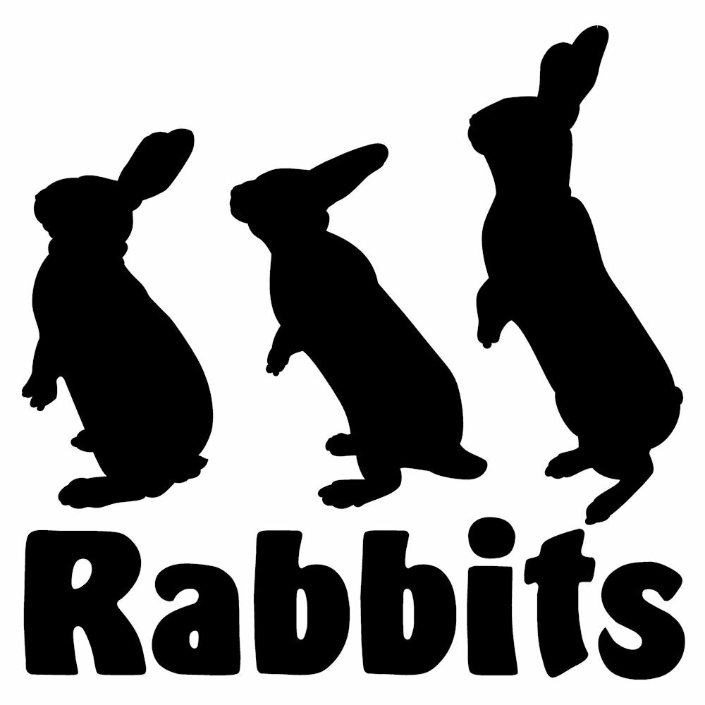 ���襤�� ������ ���륨�å� ���ƥå����ȥ�������16cm��16cm ���åƥ��󥰤��������å� ���������� ���������� ������ ������ ������ ���ƥå��� ��ӥå� ���ƥå���