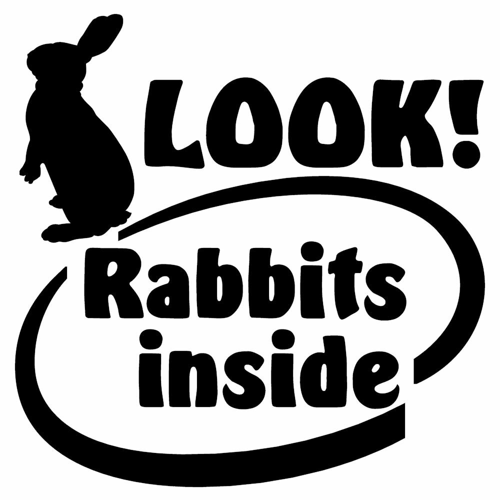 ���襤�� ������ ���륨�å� ���ƥå����ȥ�������16cm��16cm ���åƥ��󥰤��������å� ���������� ���������� ������ ������ ������ ���ƥå��� ��ӥå� ���ƥå���