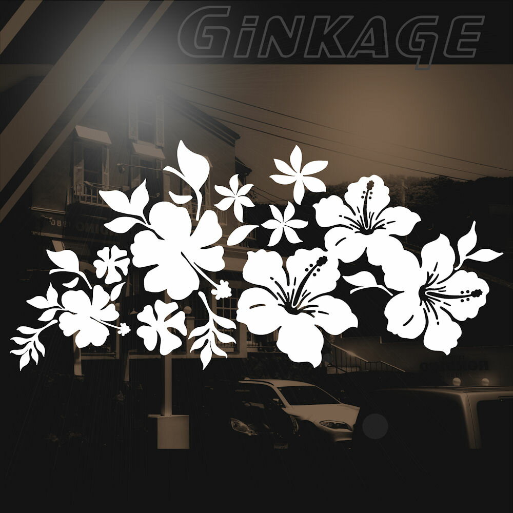 �ϥ磻���� ������� ���ƥå��� �ϥ磻���󻨲� ���� ���ƥå��� �ꥢ���饹 ��������12cm��25cm �ʺ�¦�� �� ���ƥå��� �ϥ��ӥ����� �ץ��ꥢ �ϥ磻���� �����ƥ�