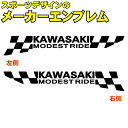 KAWASAKI JTL X|[c Ch TC IWi XebJ[ LTCYF6cm~34cm (g)