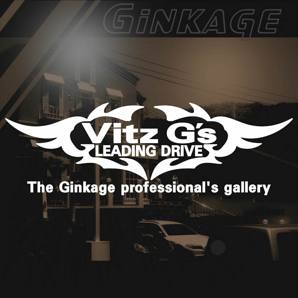 TOYOTA トヨタ ヴィッツ G’s 車 ステッカー かっこいい ロゴ エンブレム 3M 強粘着 カッティングシート カー ステッカー 外装 パーツ リアガラス 装飾 オーダーメイド ブランド 車種 お好みに合わせた 3サイズ～選択